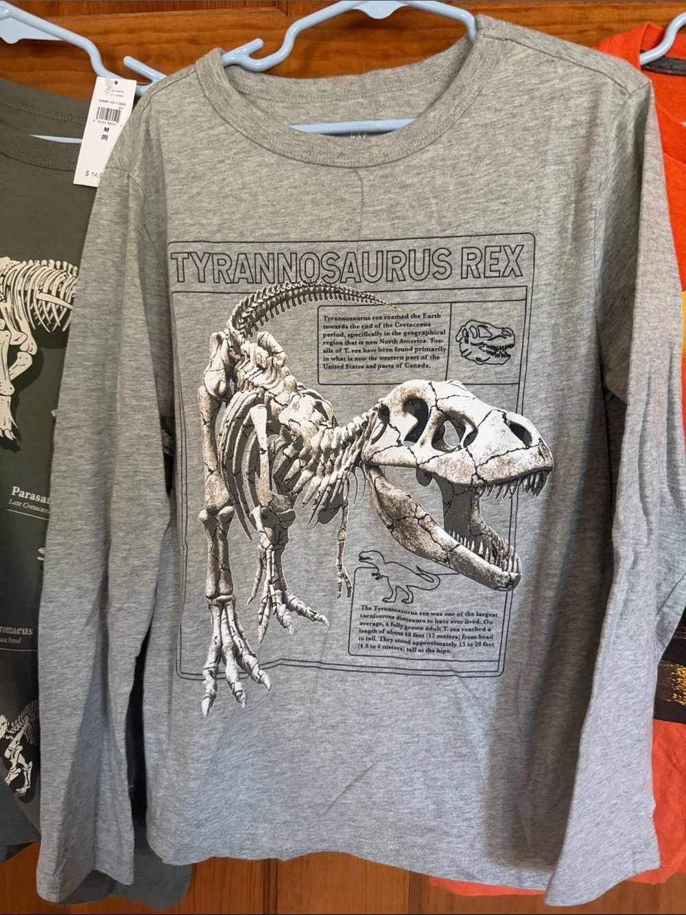 Gap & Old Navy graphic dinosaur shirts, M/8